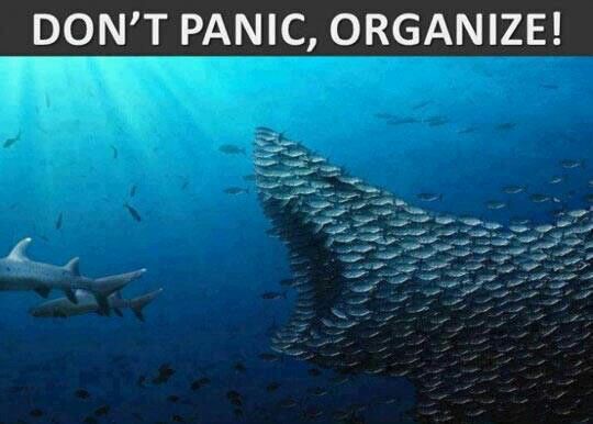 don't panic organize